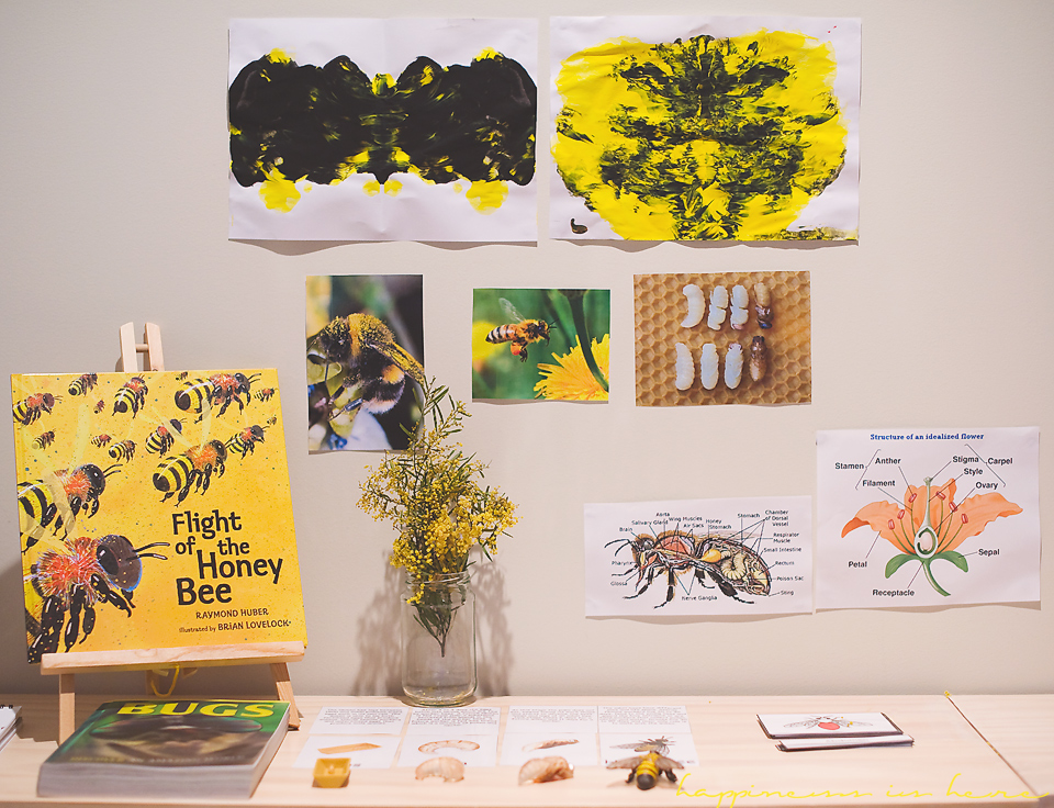 A child-led project: Honey bees | Happiness is here