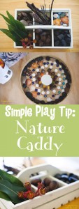 Simple Play Tip: Create a 'Nature Caddy' to incorporate a little more nature into your days!