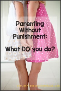 If you don't use punishment, what DO you do?