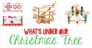 What's Under The Christmas Tree - 2017 Gifts