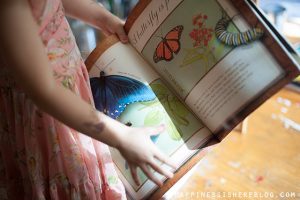 How Unschooled Children Learn